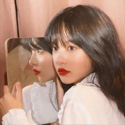 汪星人的奇思妙想